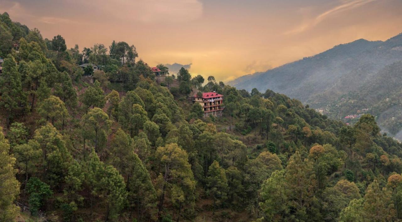 Host Jatin Kasauli Pine Villa 7Oi827O7O3 Zewnętrze zdjęcie